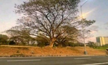 Vacant Lot at Palms Pointe Village, Alabang, Muntinlupa City