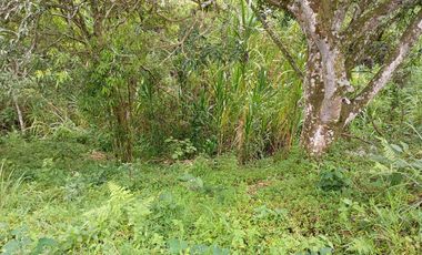 Lote “El Refugio” – 12 800 m² con casa de 314 m² en Cerro Los Cristales