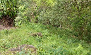 Lote “El Refugio” – 12 800 m² con casa de 314 m² en Cerro Los Cristales