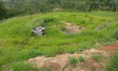 Lote “El Refugio” – 12 800 m² con casa de 314 m² en Cerro Los Cristales