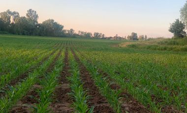 ¡Gran Oportunidad! Se Vende Parcela Agrícola de 17 Hectáreas en Río Claro