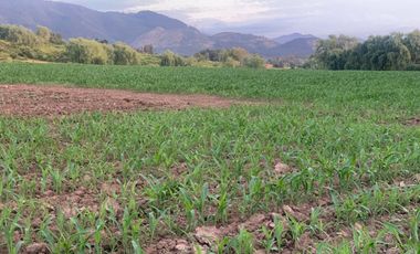 ¡Gran Oportunidad! Se Vende Parcela Agrícola de 17 Hectáreas en Río Claro