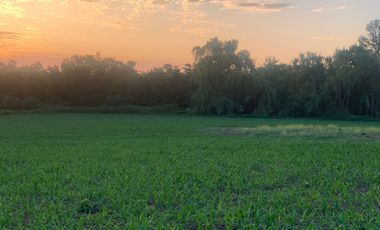 ¡Gran Oportunidad! Se Vende Parcela Agrícola de 17 Hectáreas en Río Claro