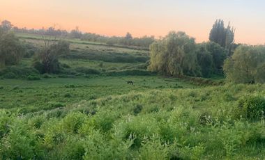 ¡Gran Oportunidad! Se Vende Parcela Agrícola de 17 Hectáreas en Río Claro