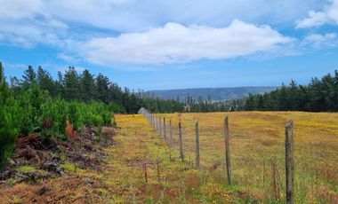 PARCELAS EN PICHILEMU SEXTA REGION