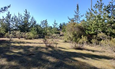 PARCELAS EN PICHILEMU SEXTA REGION