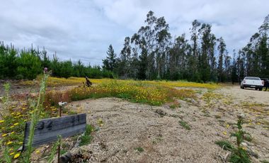 PARCELAS EN PICHILEMU SEXTA REGION