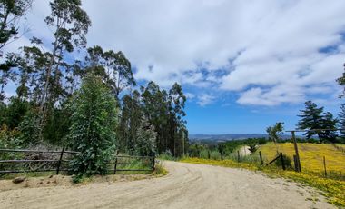 PARCELAS EN PICHILEMU SEXTA REGION