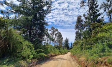 PARCELAS EN PICHILEMU SEXTA REGION