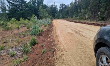 PARCELAS EN PICHILEMU SEXTA REGION