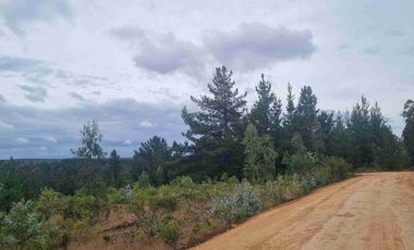 PARCELAS EN PICHILEMU SEXTA REGION