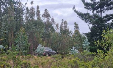 PARCELAS EN PICHILEMU SEXTA REGION