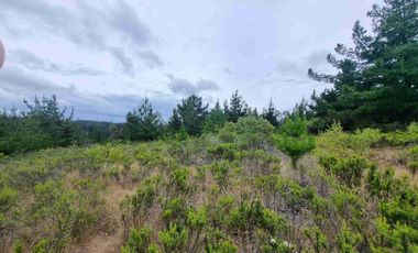 PARCELAS EN PICHILEMU SEXTA REGION