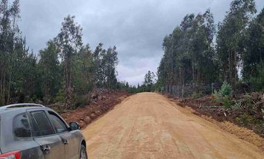 PARCELAS EN PICHILEMU SEXTA REGION