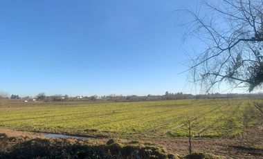 ¡Oportunidad Única! Se Vende Parcela Agrícola de 8 Hectáreas en Pelarco