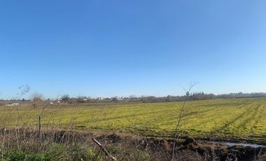 ¡Oportunidad Única! Se Vende Parcela Agrícola de 8 Hectáreas en Pelarco