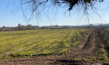¡Oportunidad Única! Se Vende Parcela Agrícola de 8 Hectáreas en Pelarco
