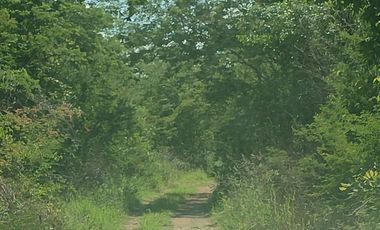 tablaje 7483 Yaxkukul, Yucatán