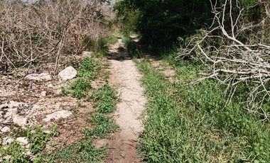 tablaje 7483 Yaxkukul, Yucatán