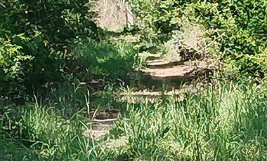 tablaje 7483 Yaxkukul, Yucatán