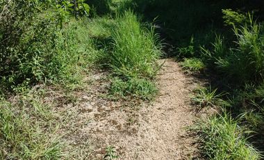 tablaje 7483 Yaxkukul, Yucatán