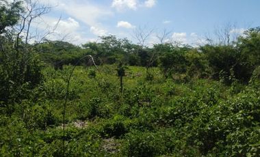 tablaje 7483 Yaxkukul, Yucatán