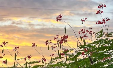 Rento Apto por dias. Mar caribe