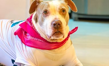 Rento Apto por dias. Mar caribe