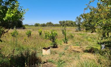 ¡Se Vende! Amplia Casa con Parcela de 5.000 m² en Pelarco