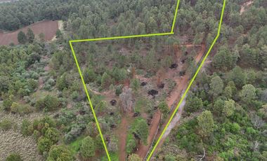 TERRENO EN VENTA EN TAPALPA