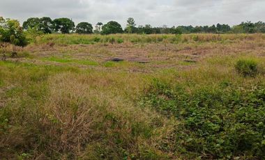 LOTIZACION JARDINES DE GUARUMAL