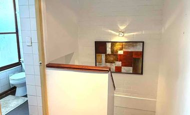 Bosques de San Francisco