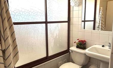 Bosques de San Francisco