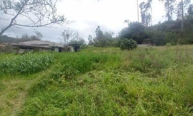 TERRENO EN VENTA SECTOR EL ARENAL, RICAURTE