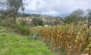TERRENO EN VENTA SECTOR EL ARENAL, RICAURTE