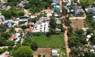 Lost in Tamarinds in puerto escondido