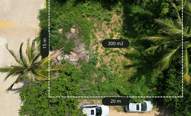 Lost in Tamarinds in puerto escondido