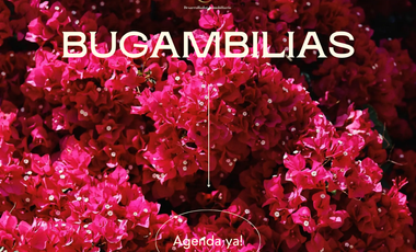 LOTES ECONOMICOS EN PUERTO ESCONDIDO