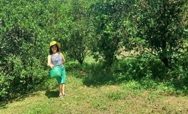 PALAYAN, NUEVA ECIJA - LAND FOR SALE - 14M (27,565 SQM)