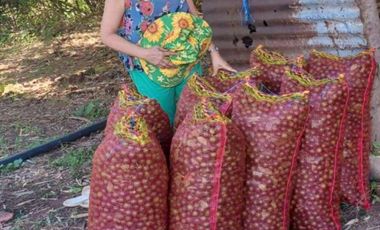 PALAYAN, NUEVA ECIJA - LAND FOR SALE - 14M (27,565 SQM)