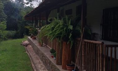 LA CUMBRE  FINCA EN LA VENTURA