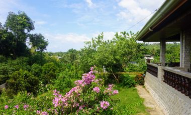 Residential Property for Sale in Minglanilla, Cebu