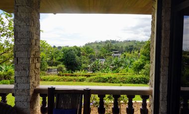 Residential Property for Sale in Minglanilla, Cebu