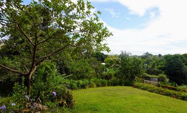 Residential Property for Sale in Minglanilla, Cebu