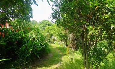 Residential Property for Sale in Minglanilla, Cebu