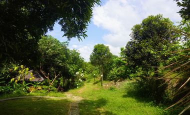 Residential Property for Sale in Minglanilla, Cebu