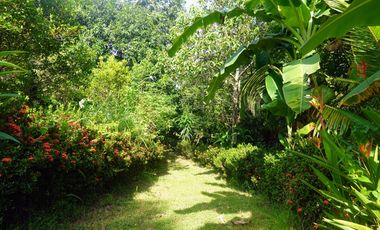 Residential Property for Sale in Minglanilla, Cebu