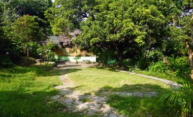 Residential Property for Sale in Minglanilla, Cebu