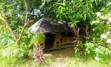 Residential Property for Sale in Minglanilla, Cebu