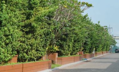 Siap Naik SHM, 3 Menit Ringroad Utara, Pengembang Tepercaya